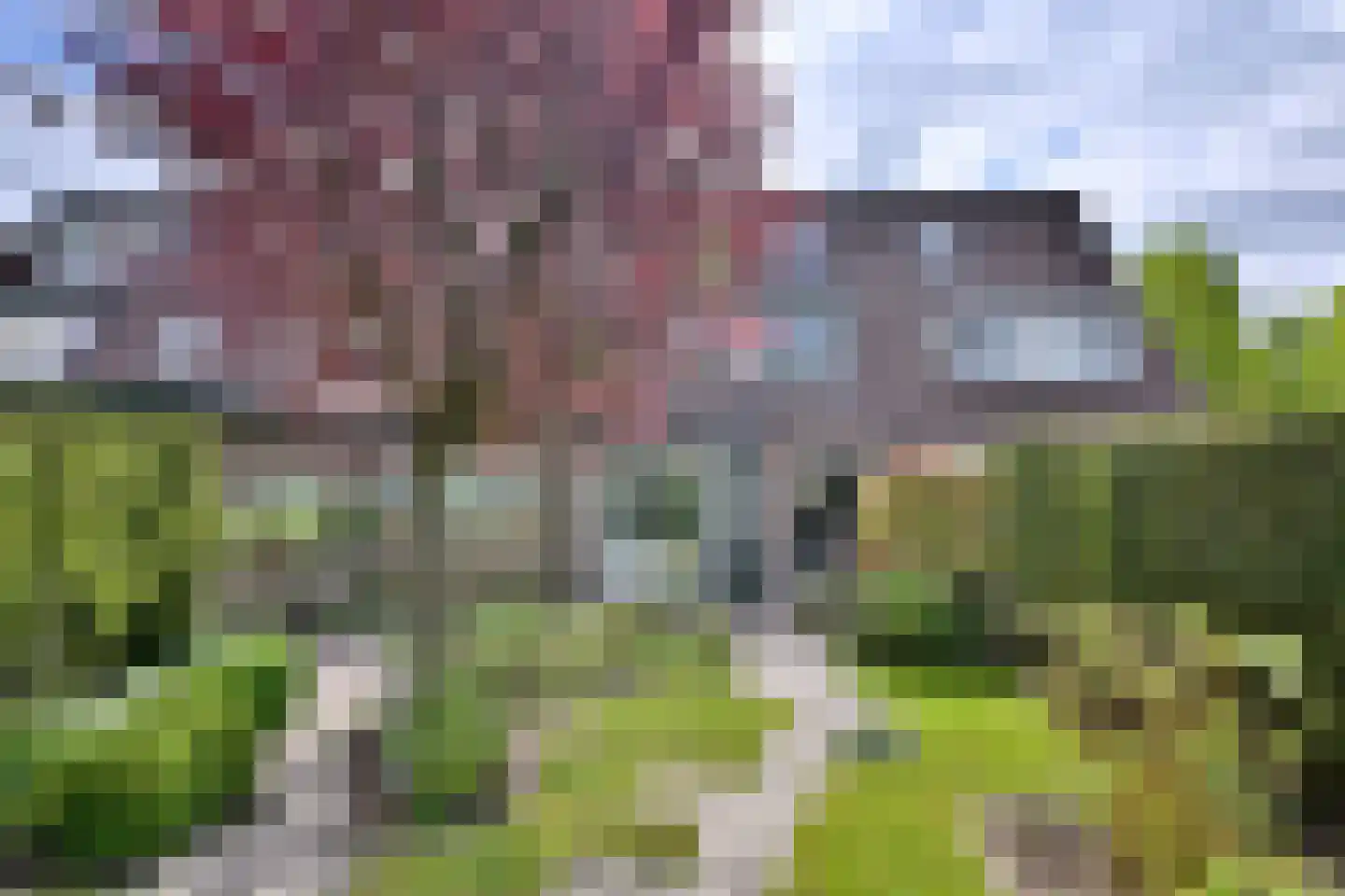 De Haarmansenk 10 Schalkhaar thumbnail 31