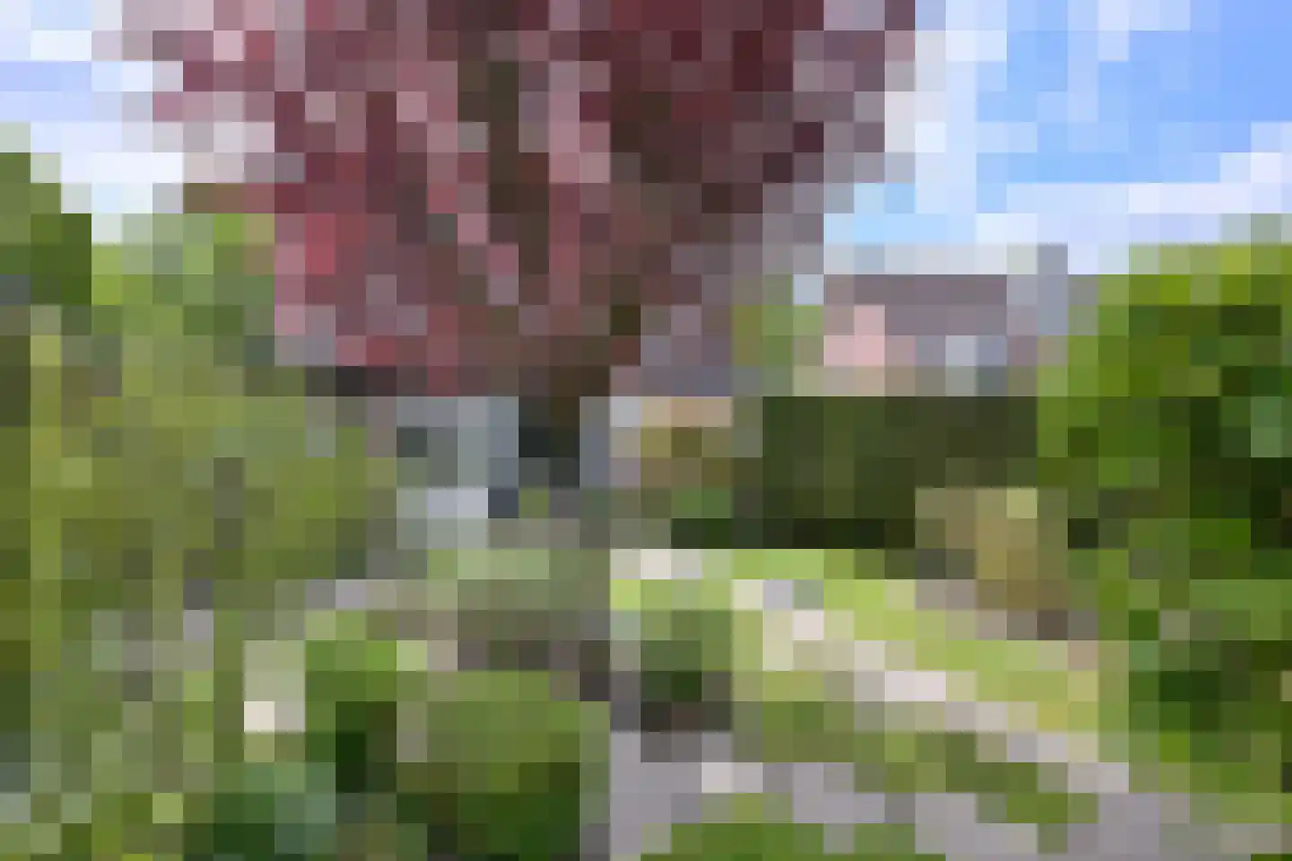 De Haarmansenk 10 Schalkhaar thumbnail 32