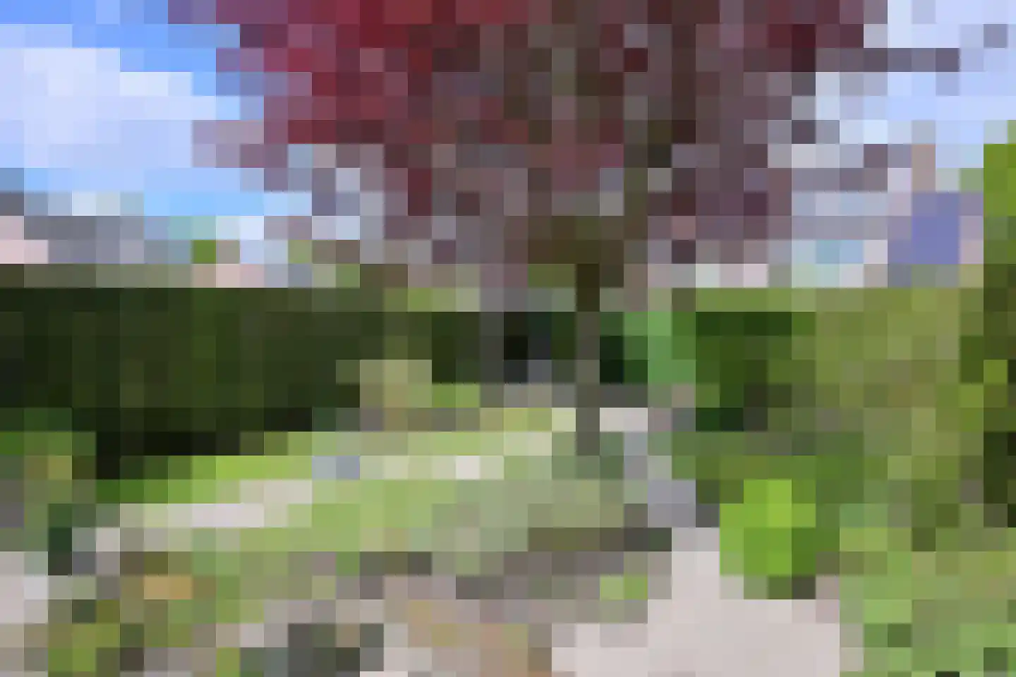 De Haarmansenk 10 Schalkhaar thumbnail 34