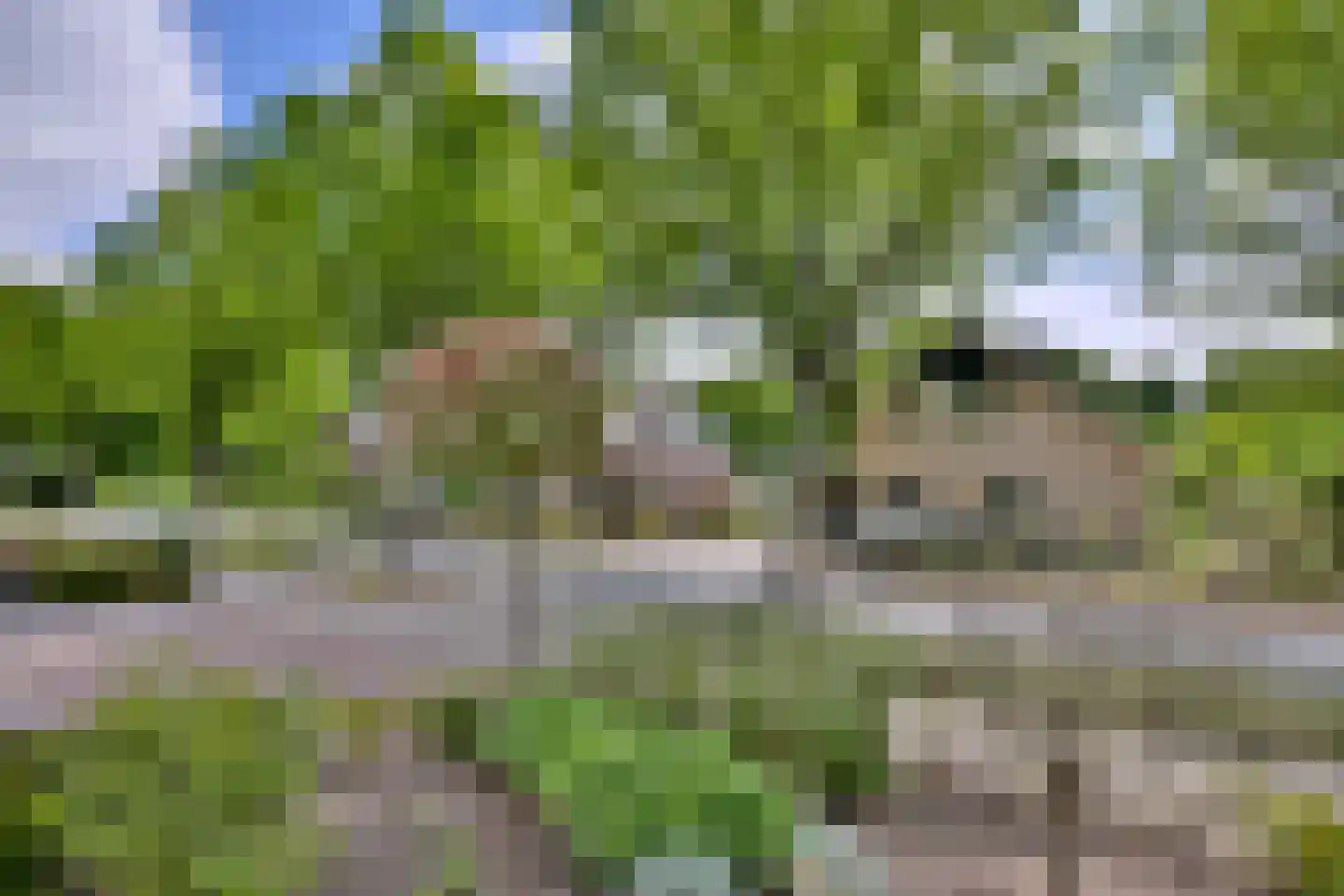 De Haarmansenk 10 Schalkhaar thumbnail 35