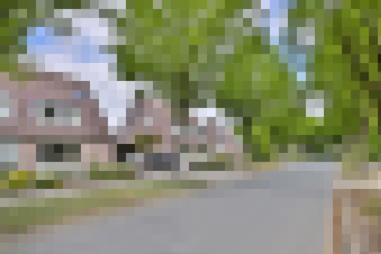 De Haarmansenk 10 Schalkhaar thumbnail 36