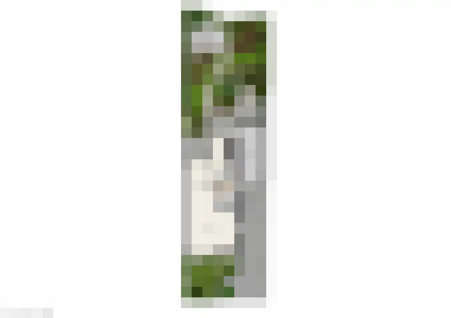 De Haarmansenk 10 Schalkhaar thumbnail 38