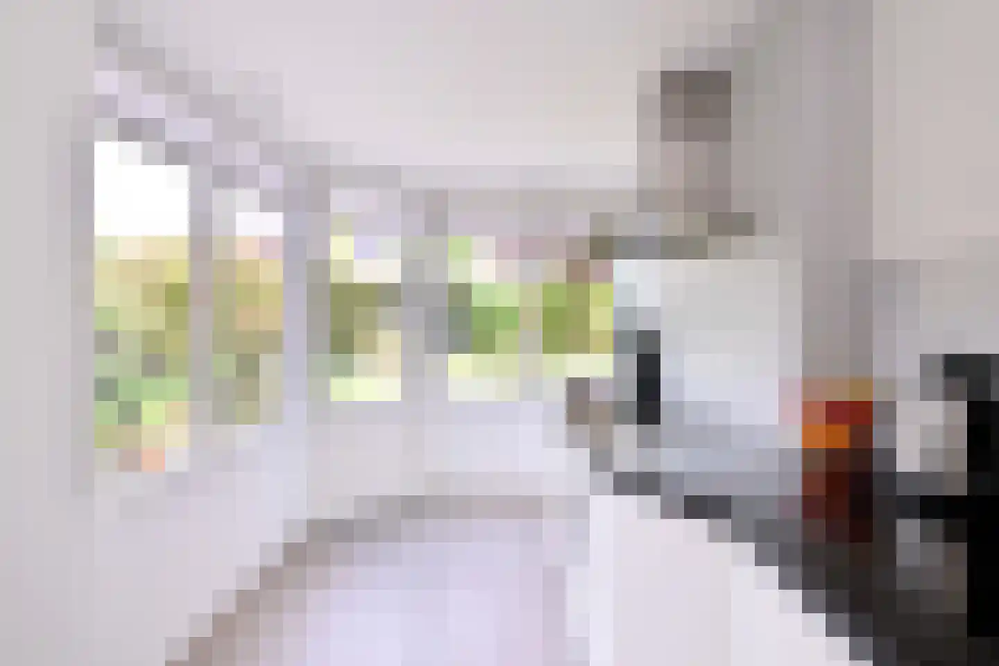 De Haarmansenk 10 Schalkhaar thumbnail 4