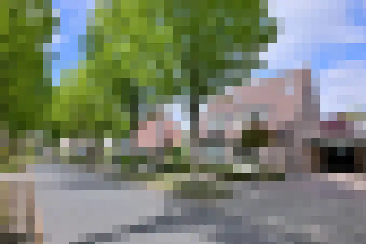 De Haarmansenk 10 Schalkhaar thumbnail 5