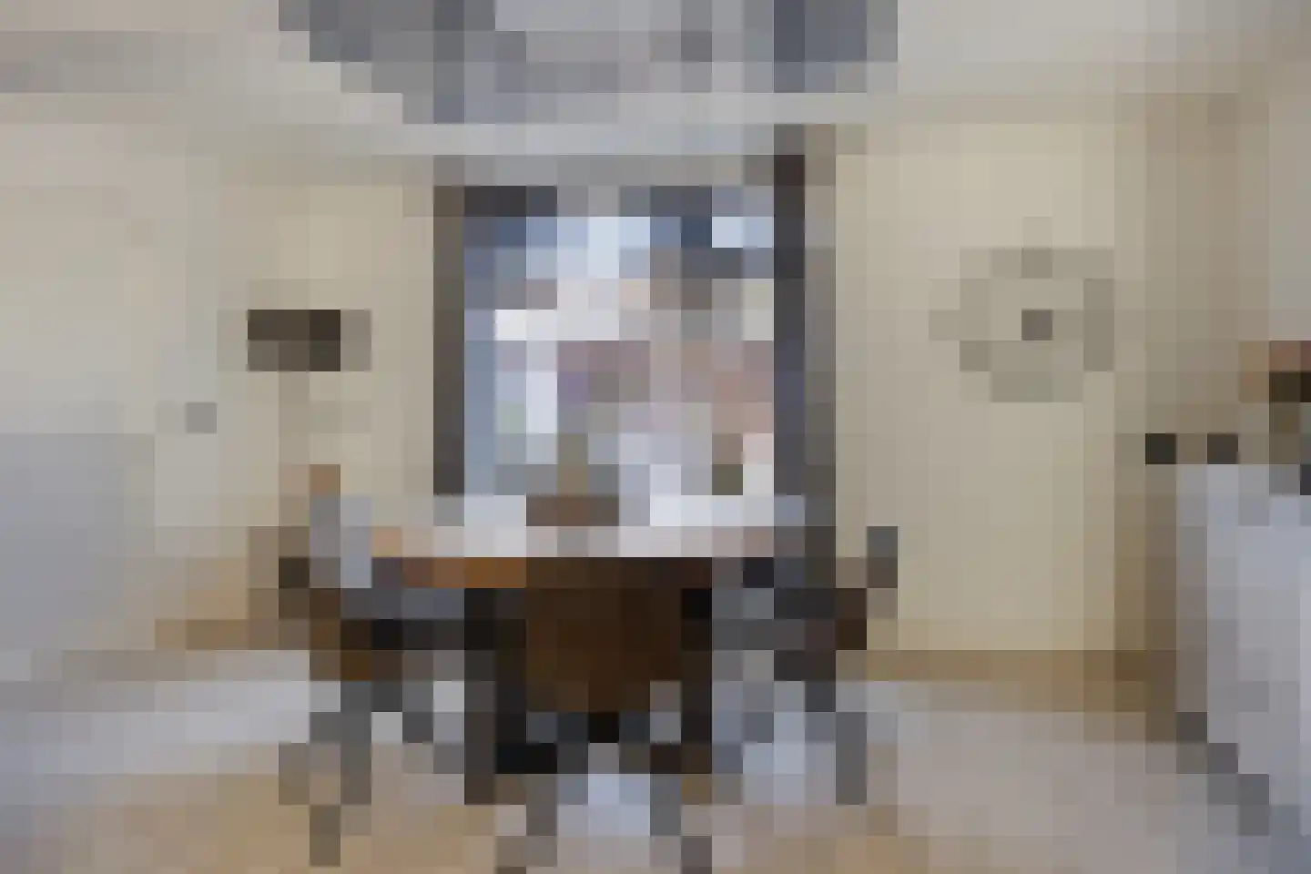 De Haarmansenk 78 Schalkhaar thumbnail 13