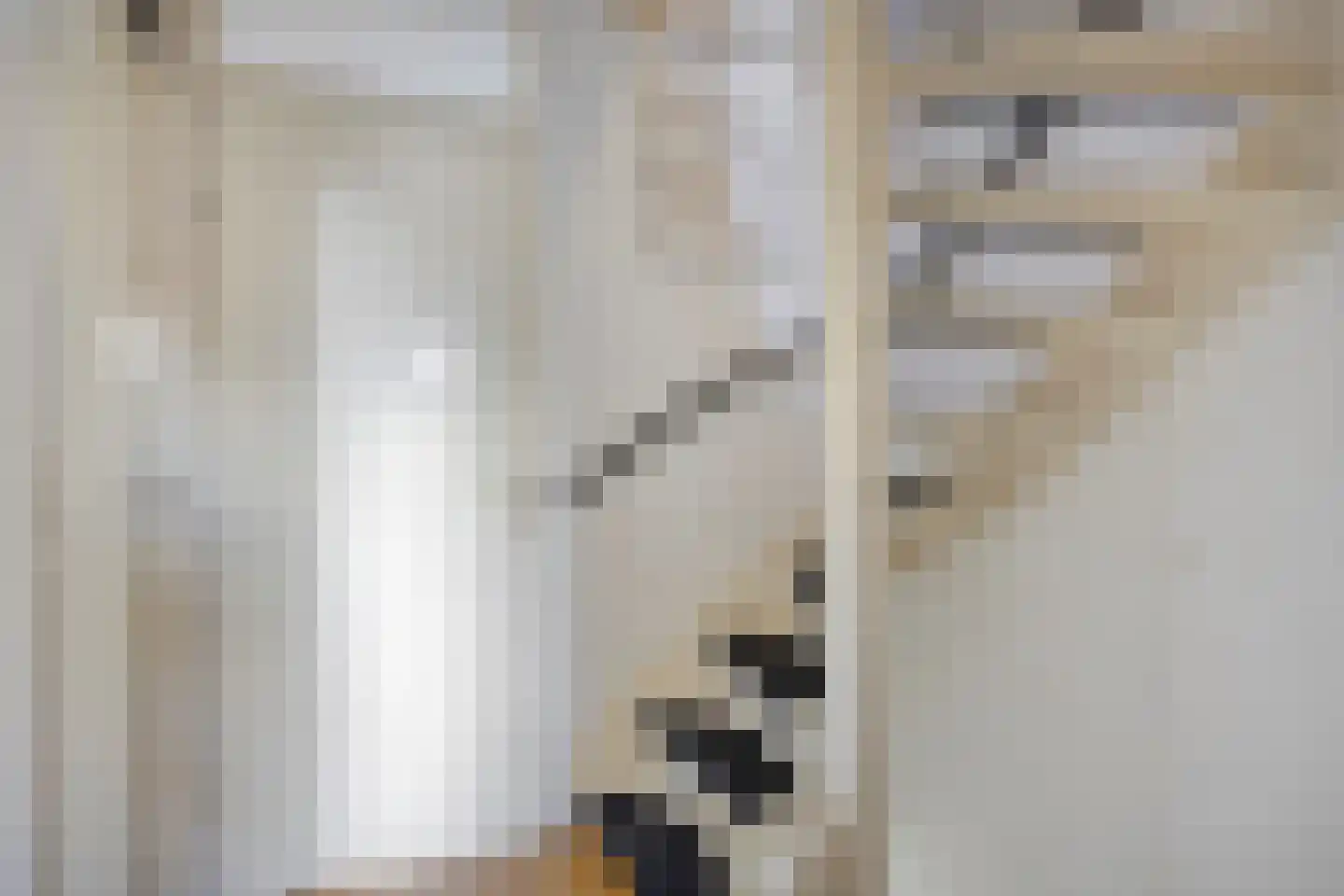 De Haarmansenk 78 Schalkhaar thumbnail 17