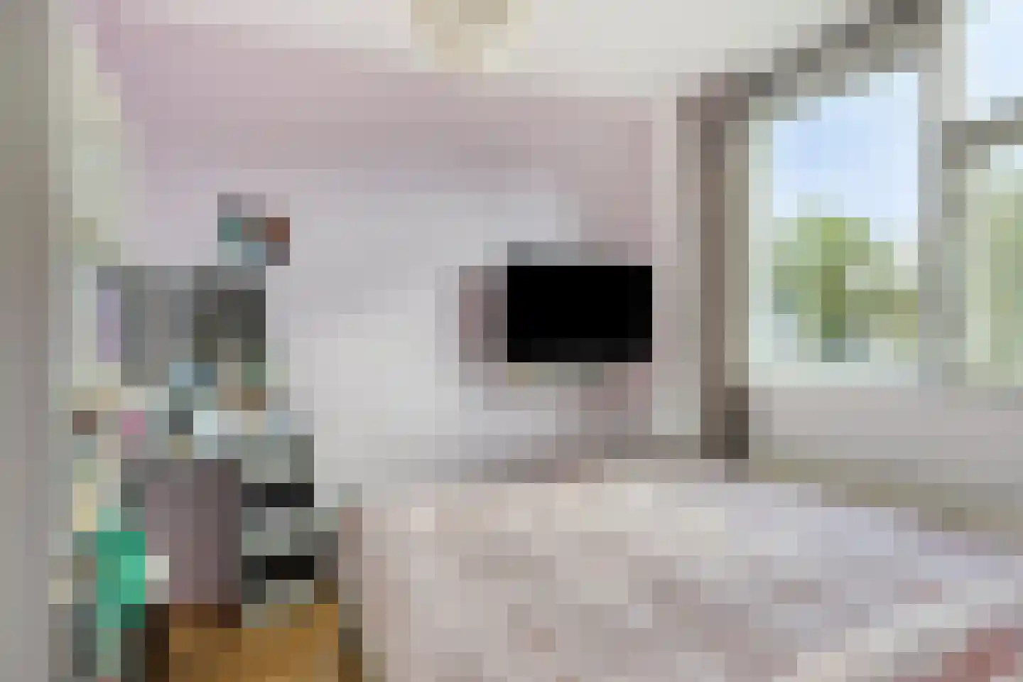 De Haarmansenk 78 Schalkhaar thumbnail 20