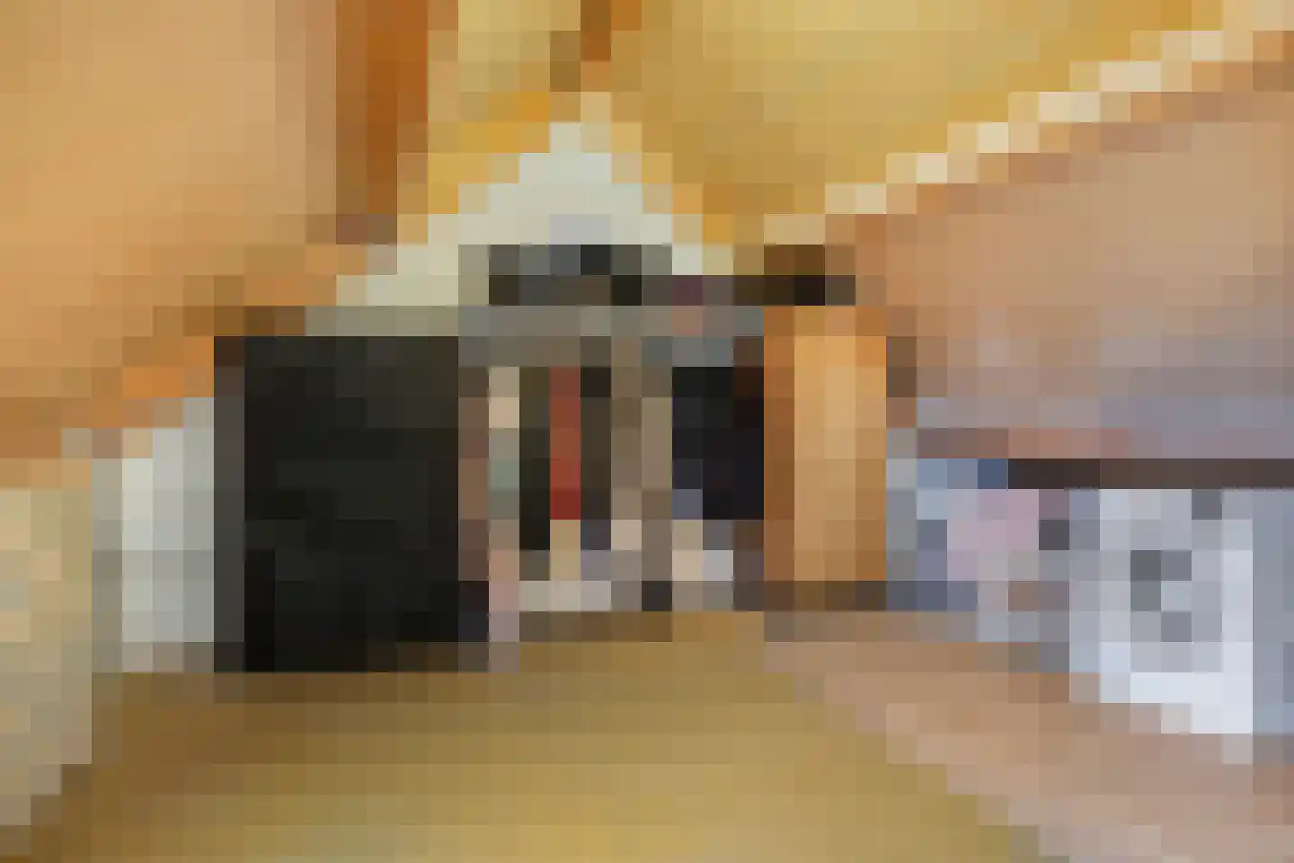 De Haarmansenk 78 Schalkhaar thumbnail 24