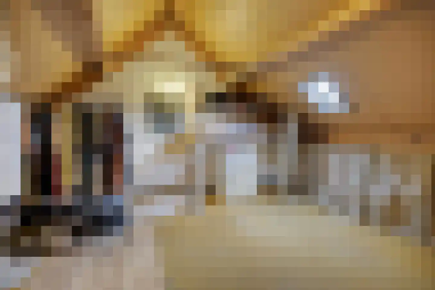De Haarmansenk 78 Schalkhaar thumbnail 25