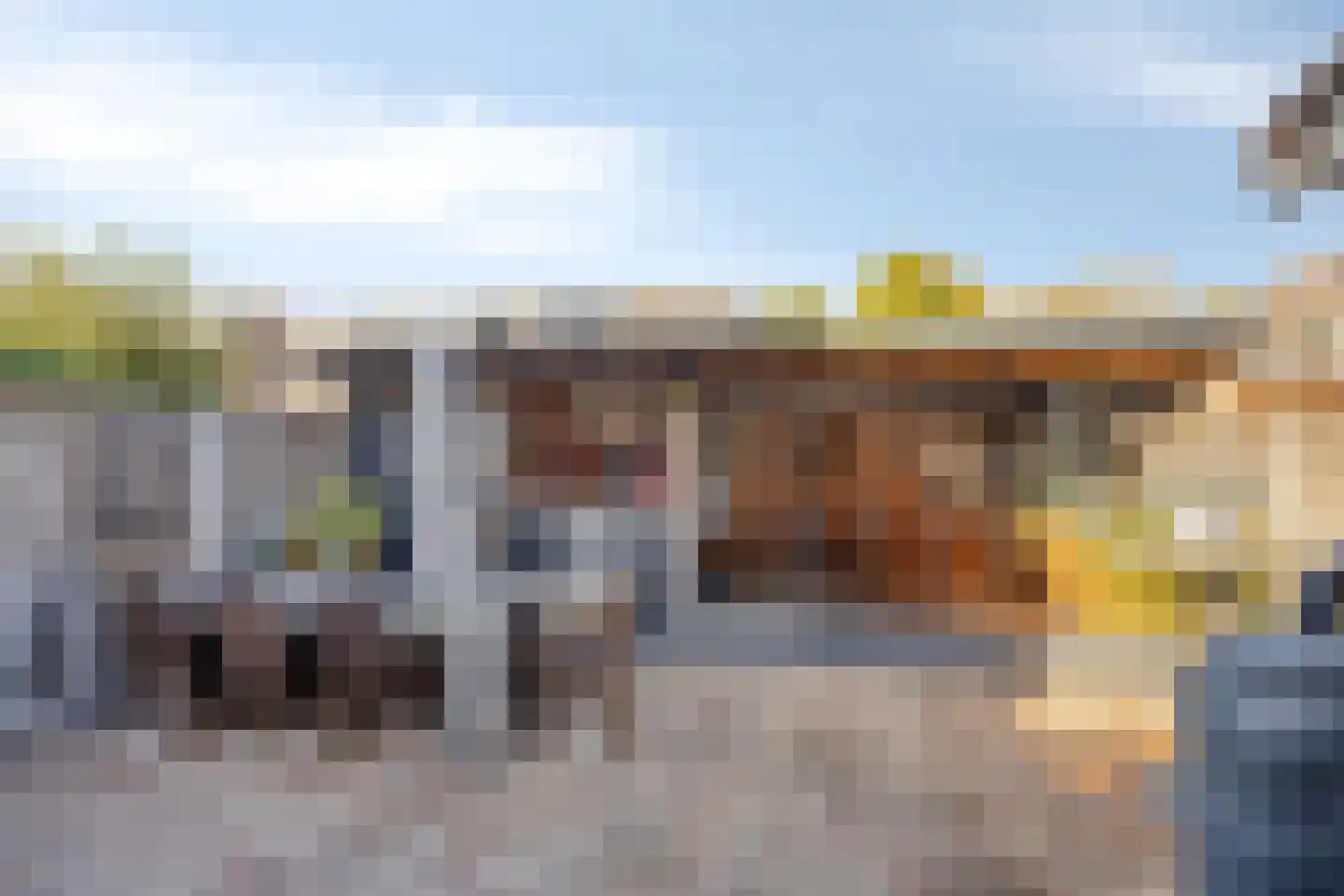 De Haarmansenk 78 Schalkhaar thumbnail 29