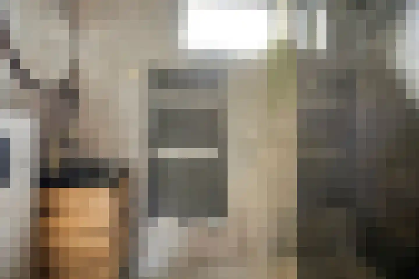 De Haarmansenk 78 Schalkhaar thumbnail 4
