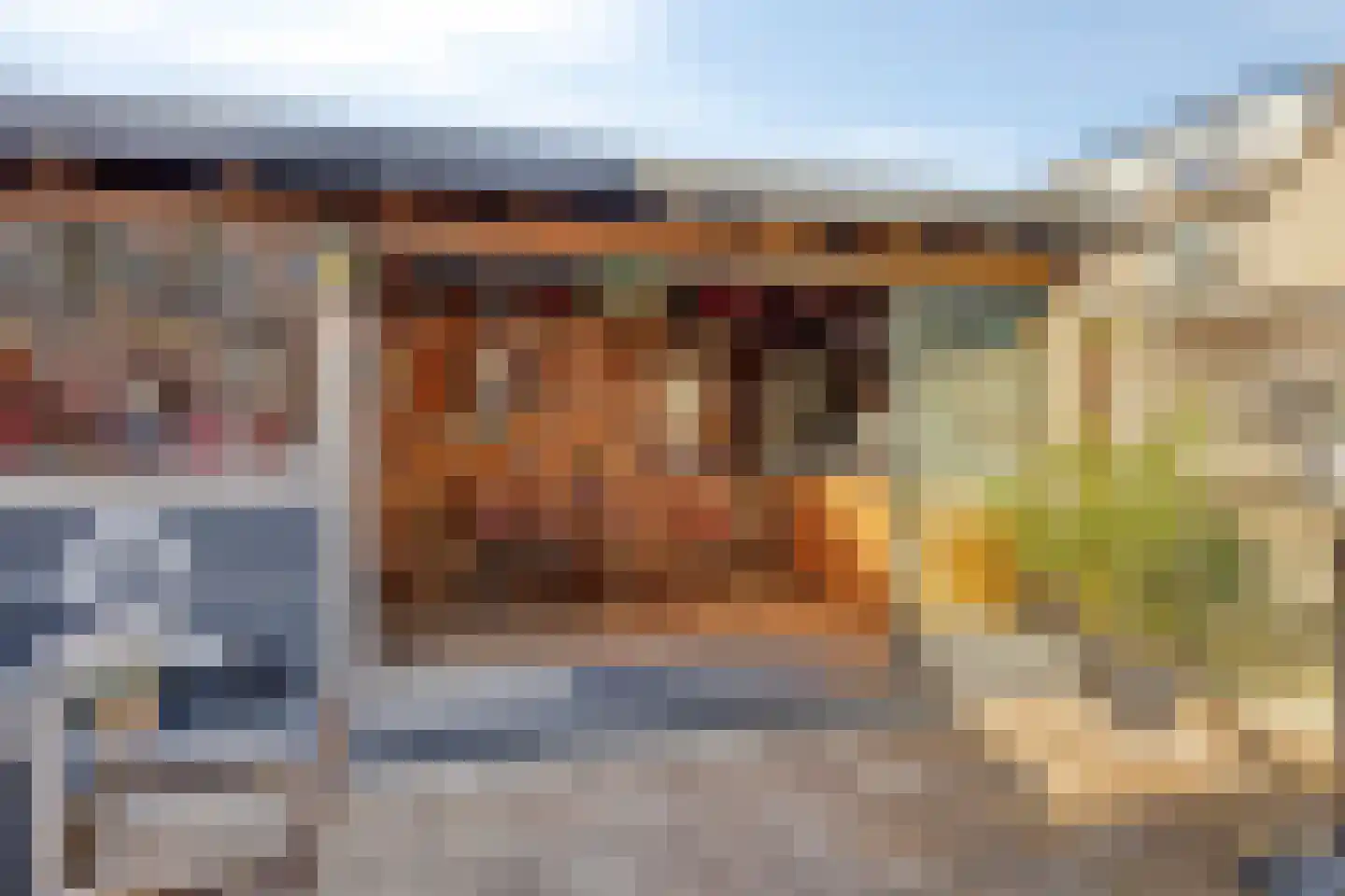 De Haarmansenk 78 Schalkhaar thumbnail 6