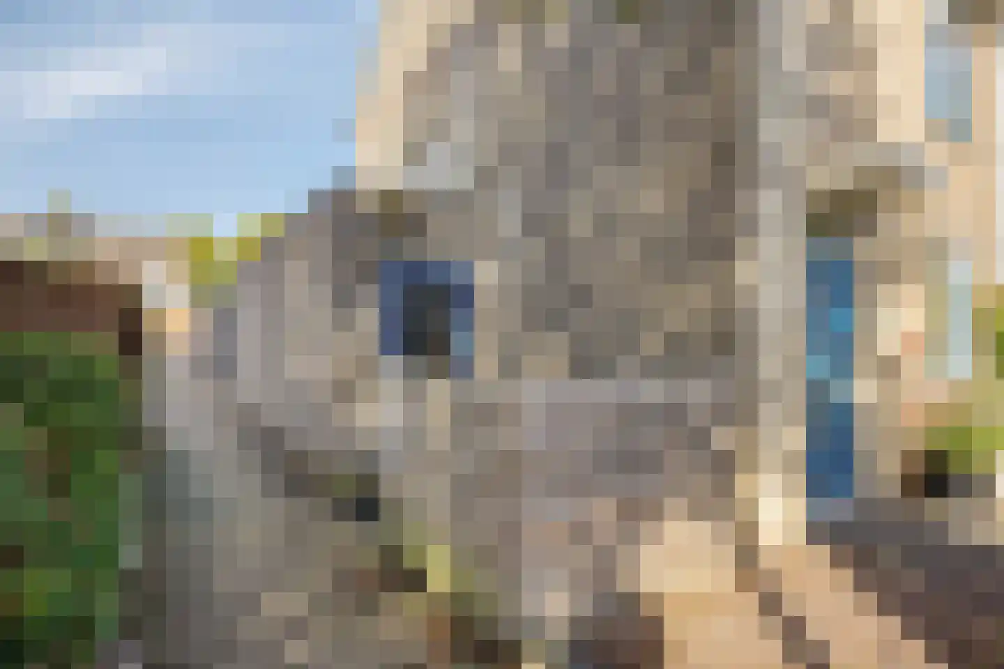De Haarmansenk 78 Schalkhaar thumbnail 8