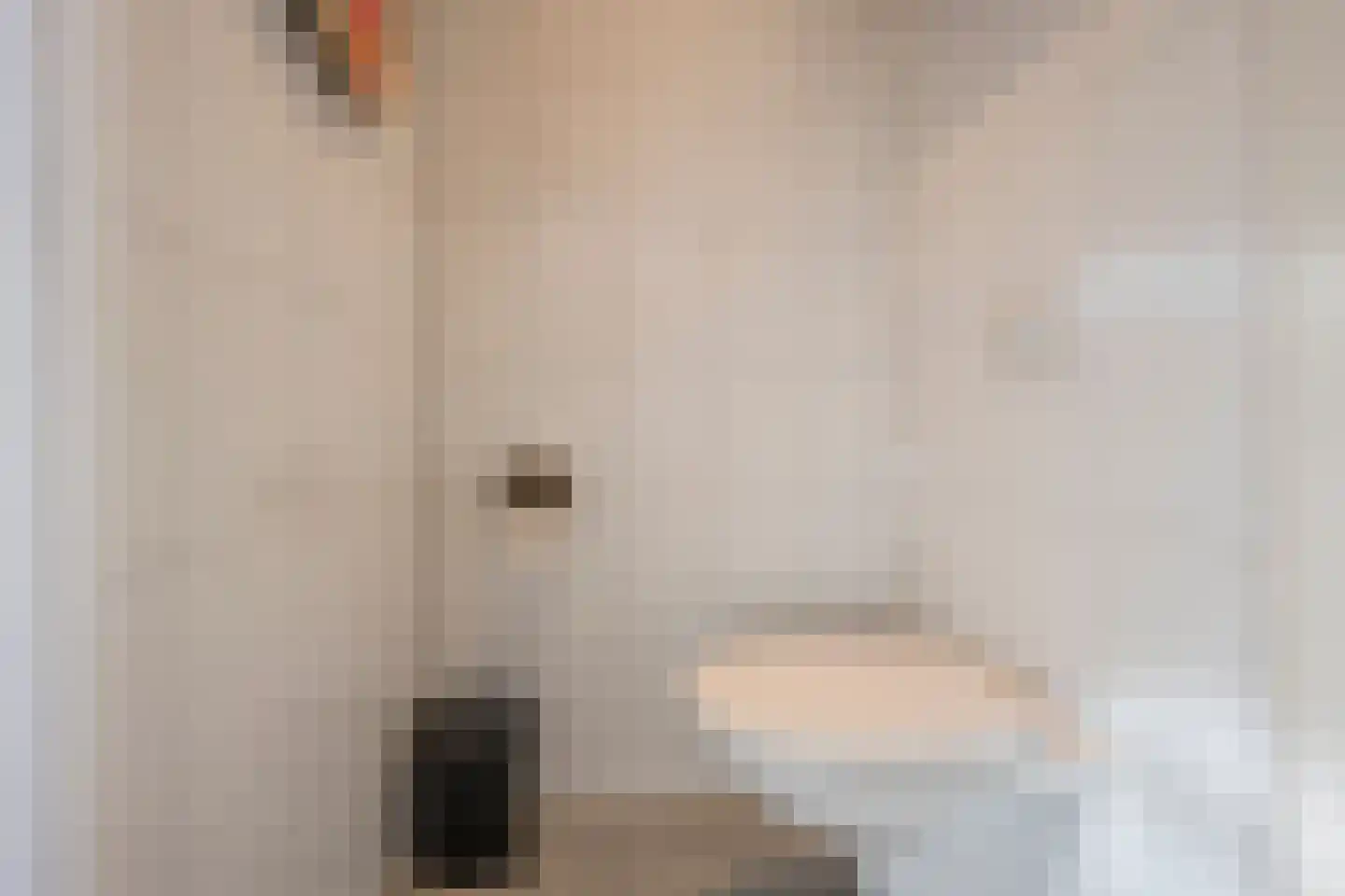 De Haarstraat 6 Nijkerk thumbnail 15