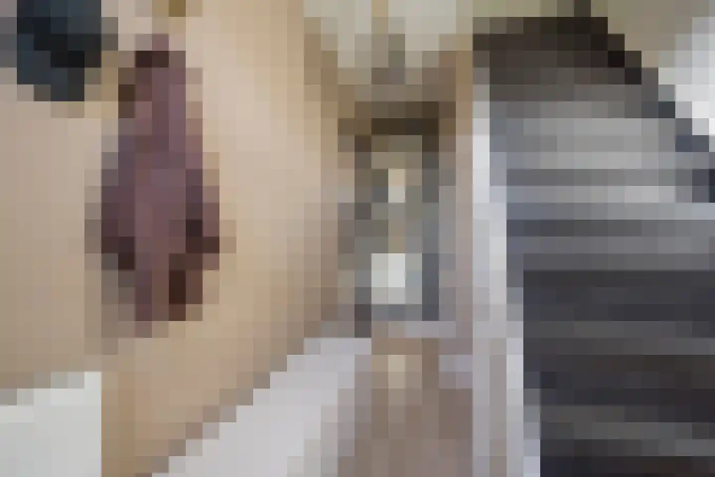 De Haarstraat 6 Nijkerk thumbnail 18