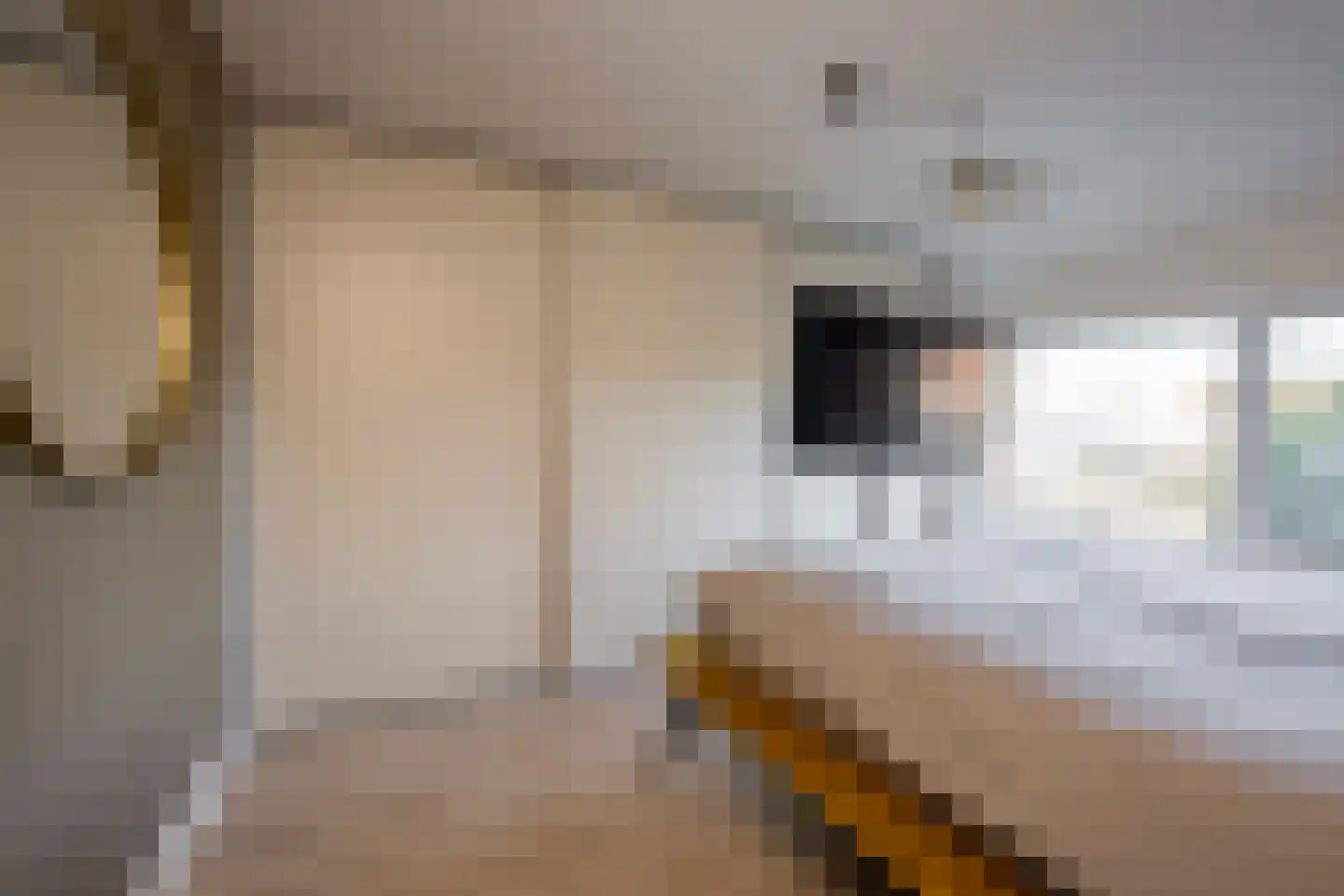 De Haarstraat 6 Nijkerk thumbnail 20