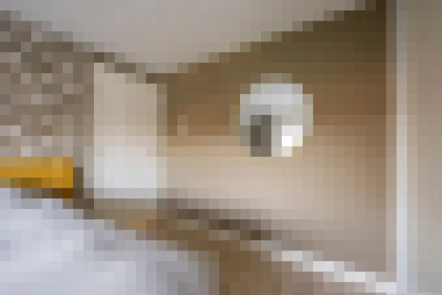 De Haarstraat 6 Nijkerk thumbnail 22