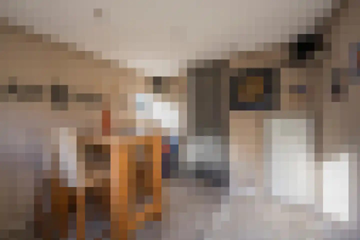 De Haarstraat 6 Nijkerk thumbnail 30