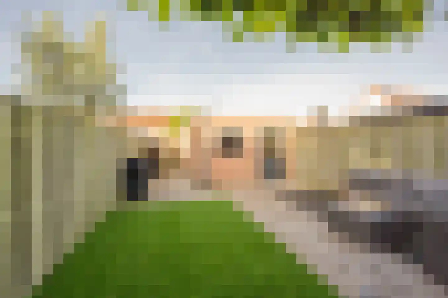 De Haarstraat 6 Nijkerk thumbnail 34