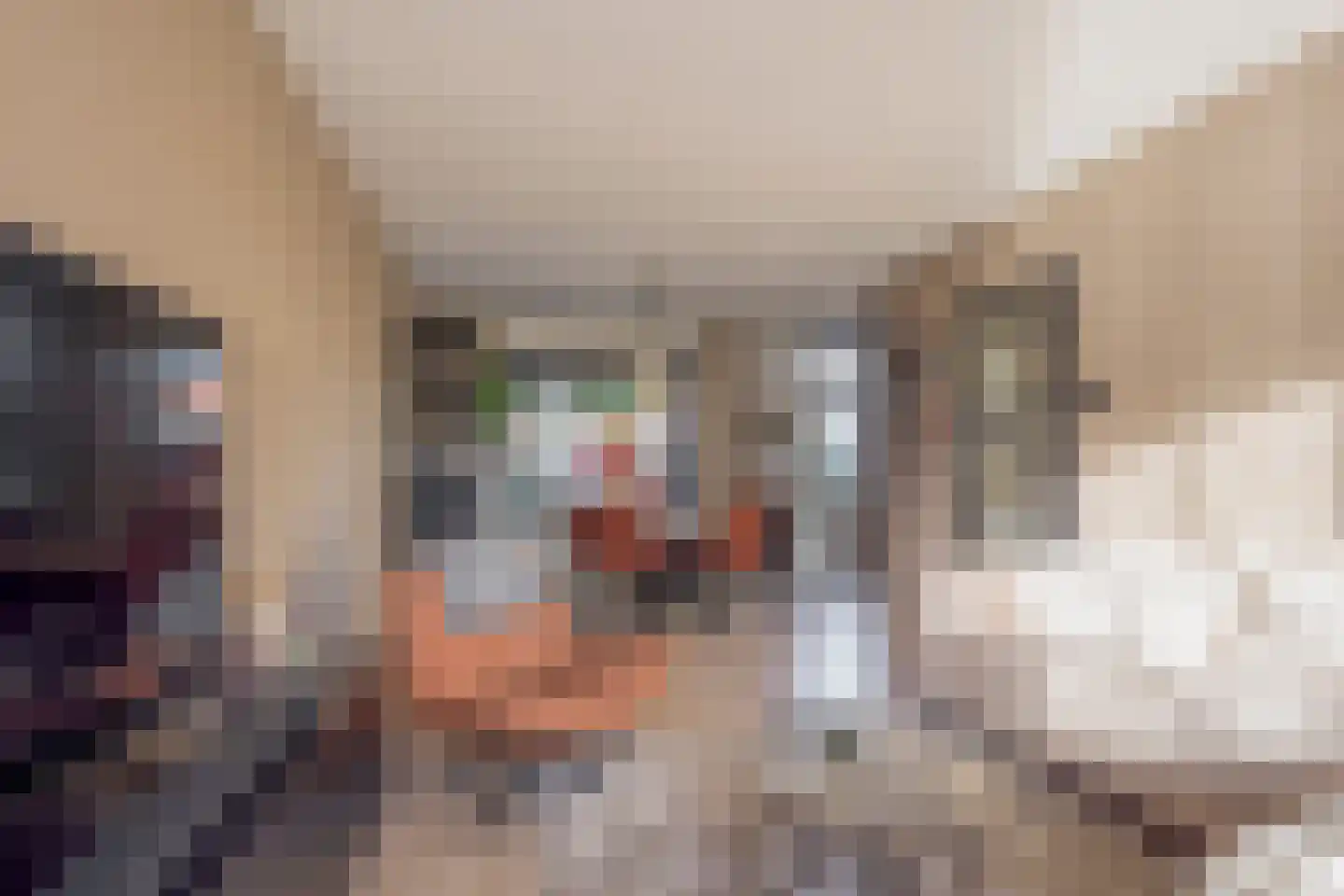 De Haarstraat 6 Nijkerk thumbnail 7