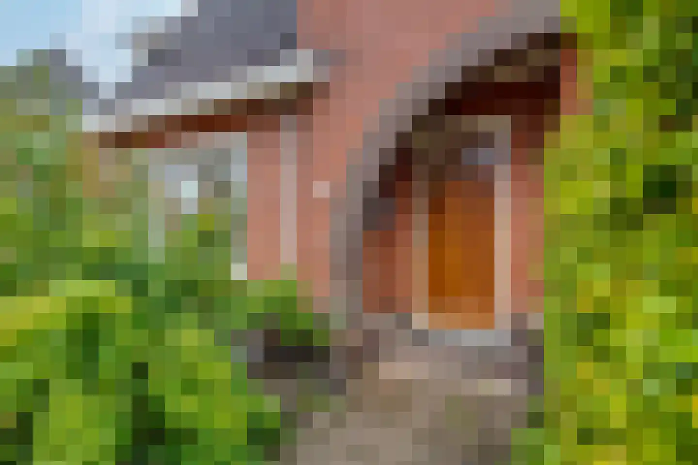 De Haas Okkenstraat 18 Appingedam thumbnail 12