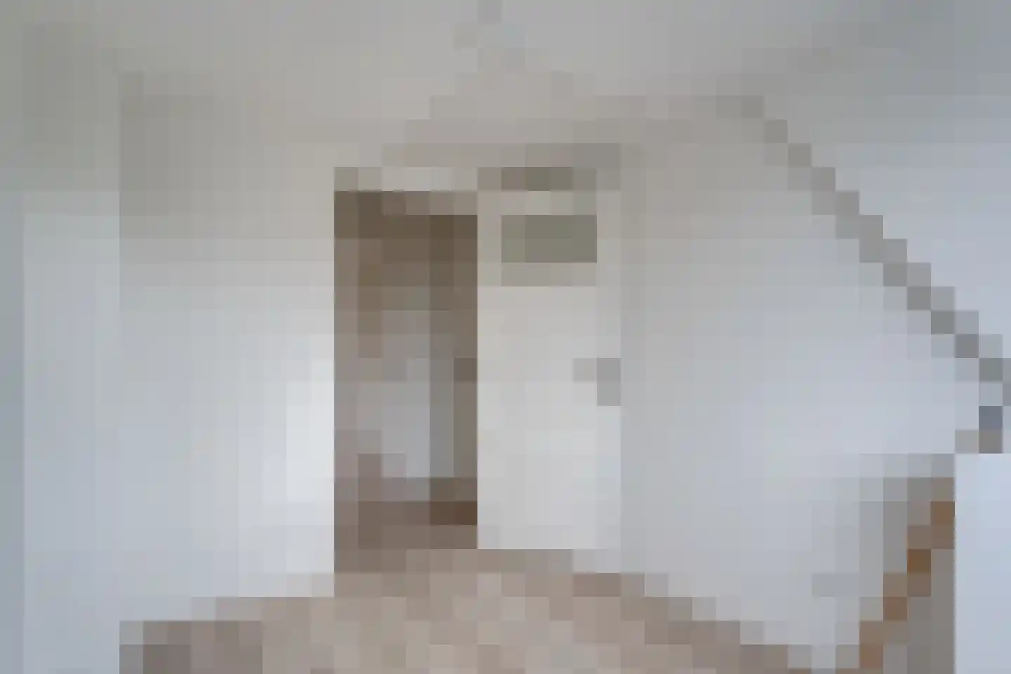 De Haas Okkenstraat 18 Appingedam thumbnail 35