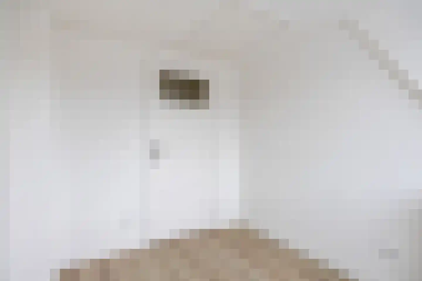 De Haas Okkenstraat 18 Appingedam thumbnail 37