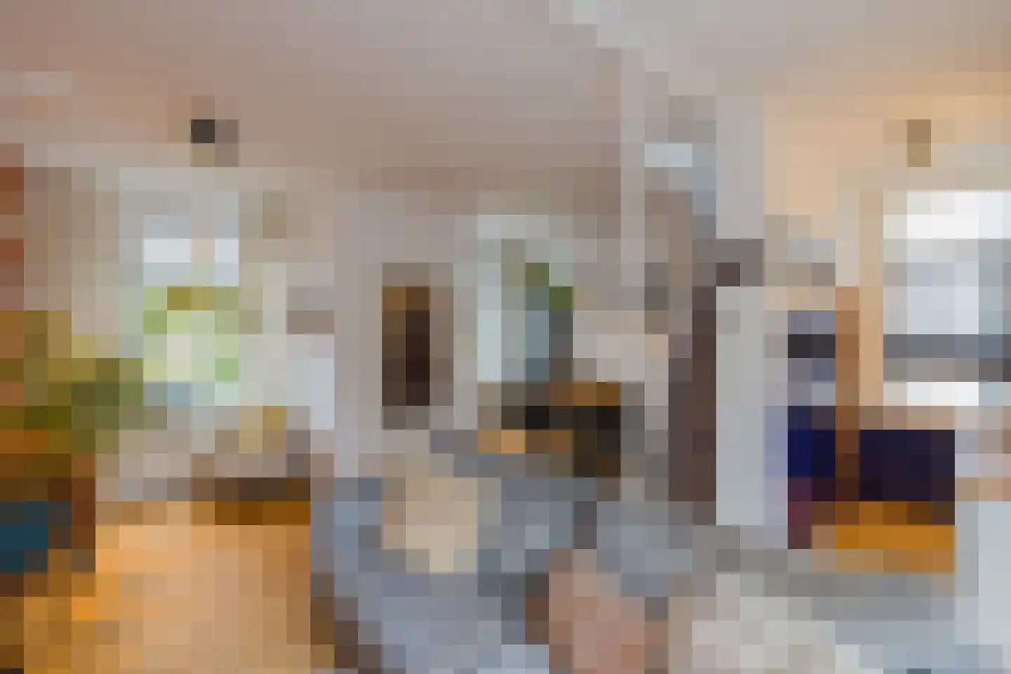 De Haasstraat 10 Haarlem thumbnail 12