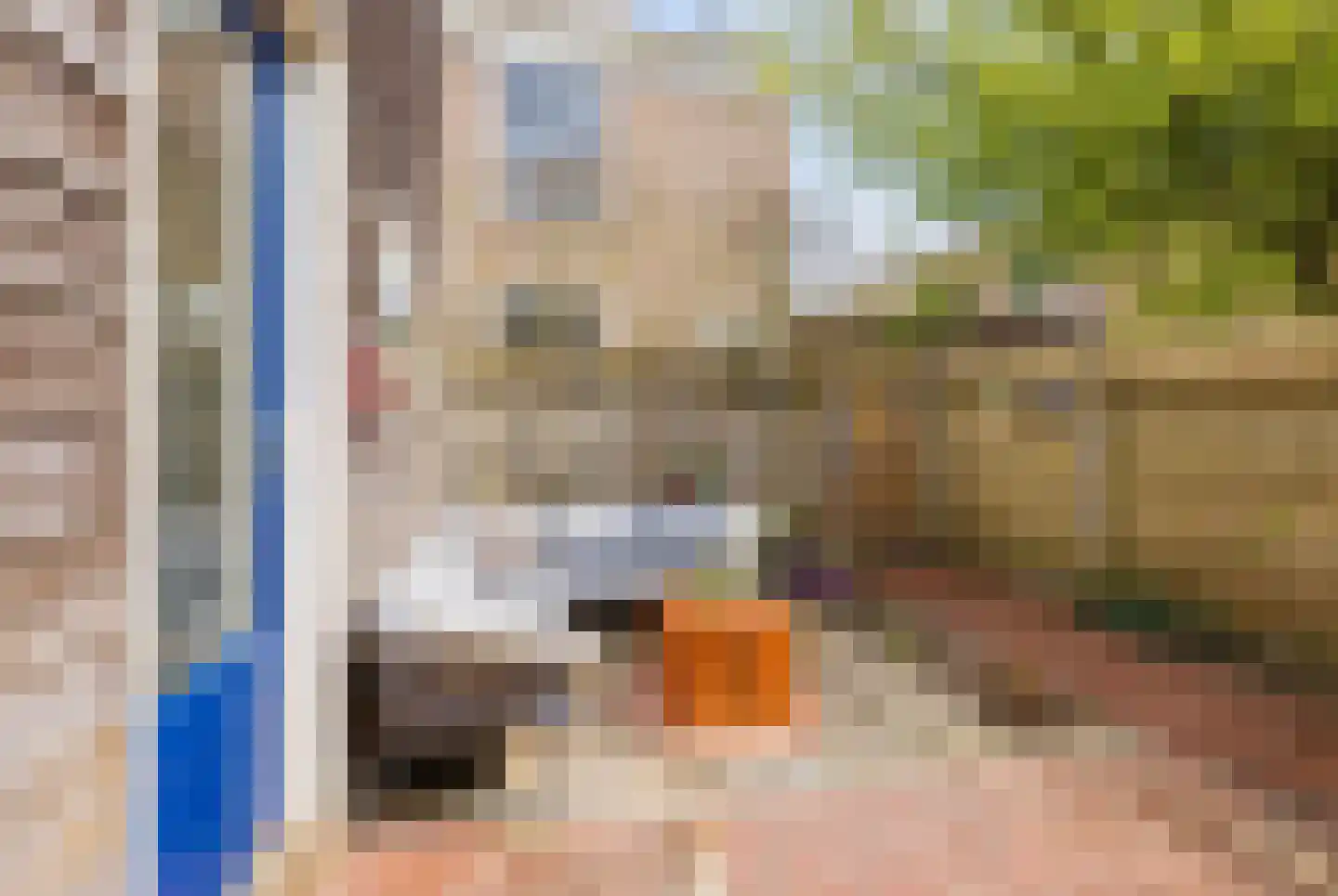 De Haasstraat 10 Haarlem thumbnail 20
