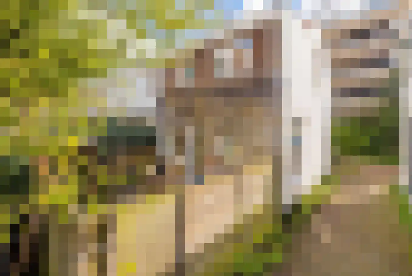 De Haasstraat 10 Haarlem thumbnail 21