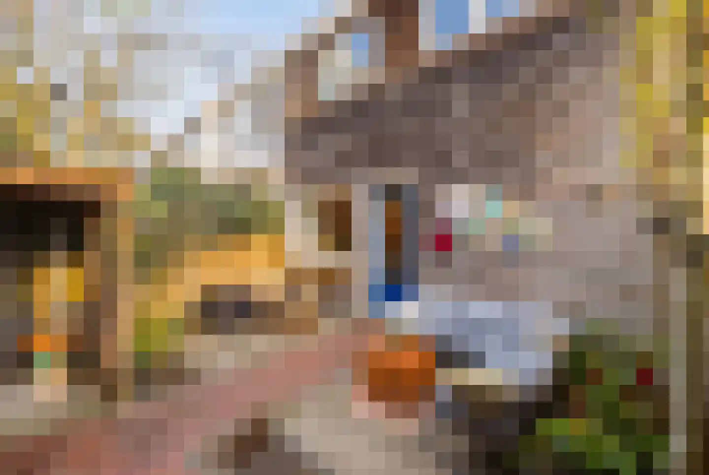 De Haasstraat 10 Haarlem thumbnail 23