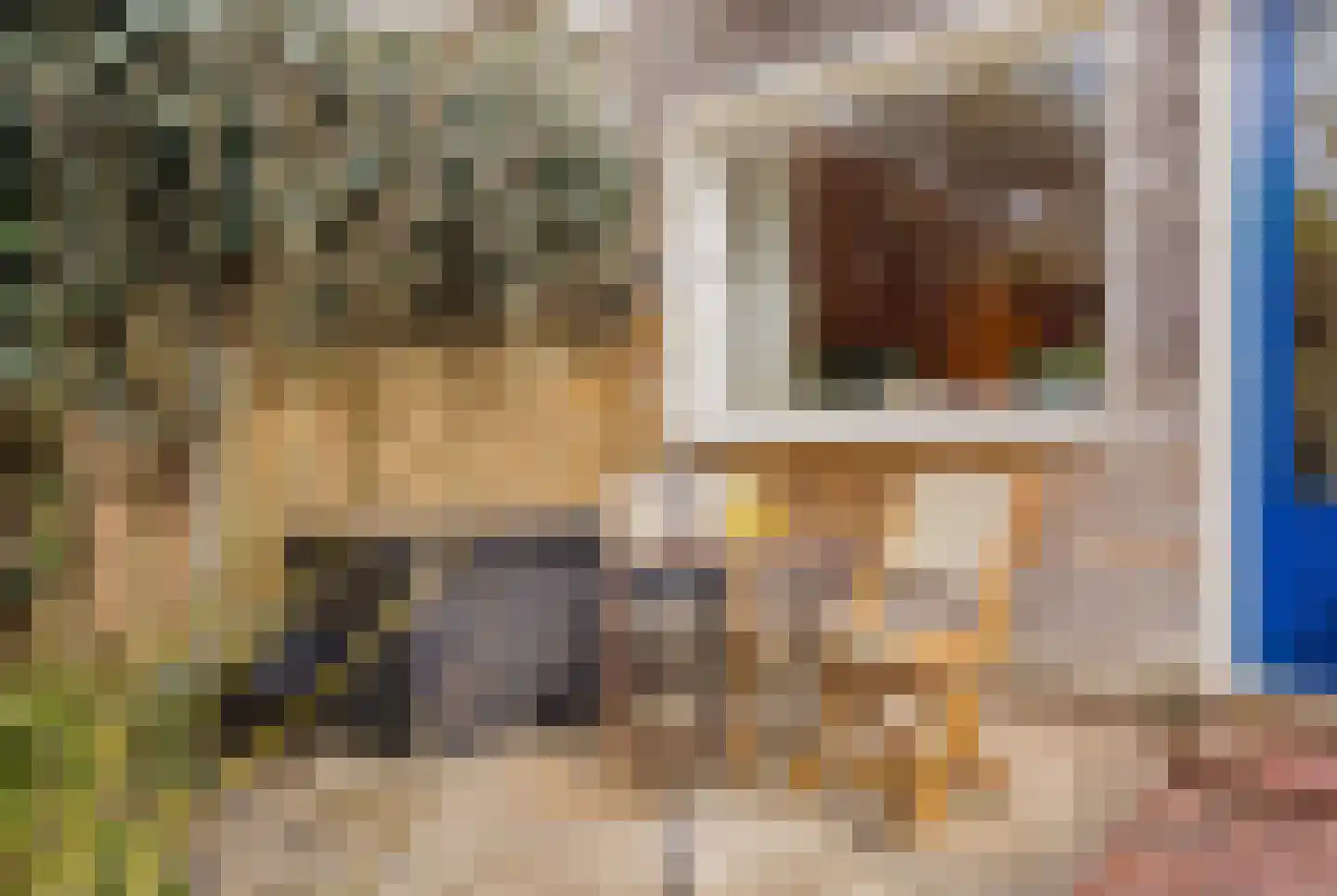 De Haasstraat 10 Haarlem thumbnail 25