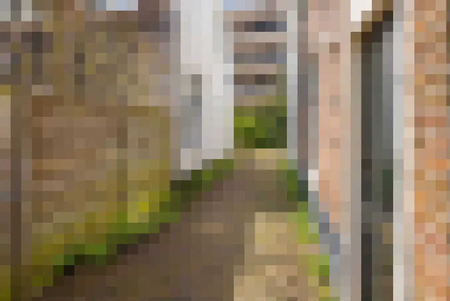 De Haasstraat 10 Haarlem thumbnail 28