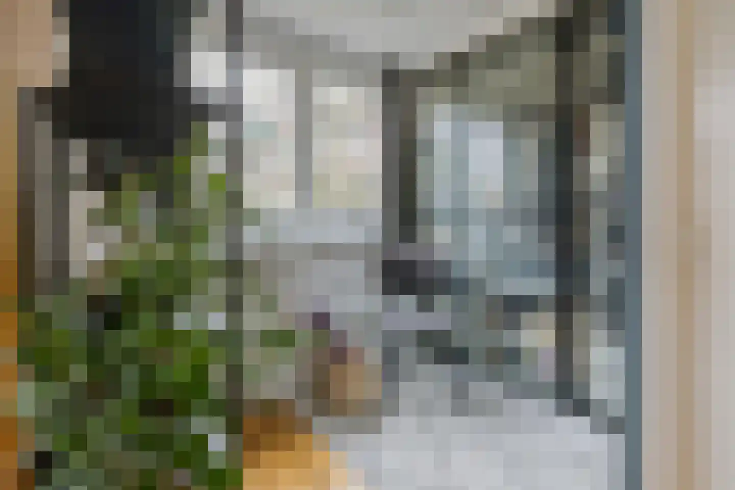 De Haasstraat 10 Haarlem thumbnail 31