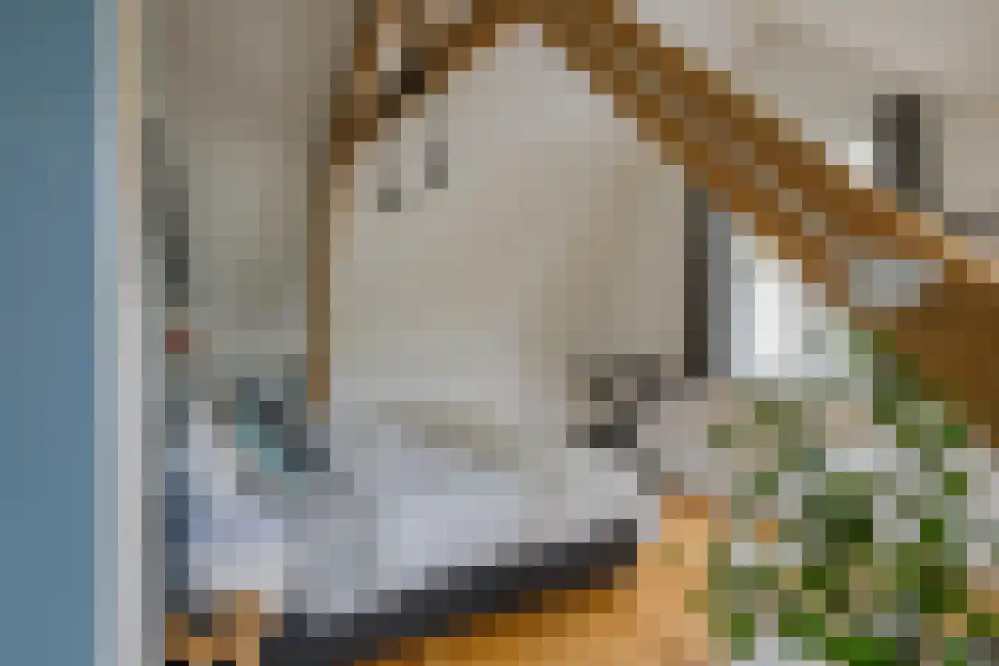 De Haasstraat 10 Haarlem thumbnail 33