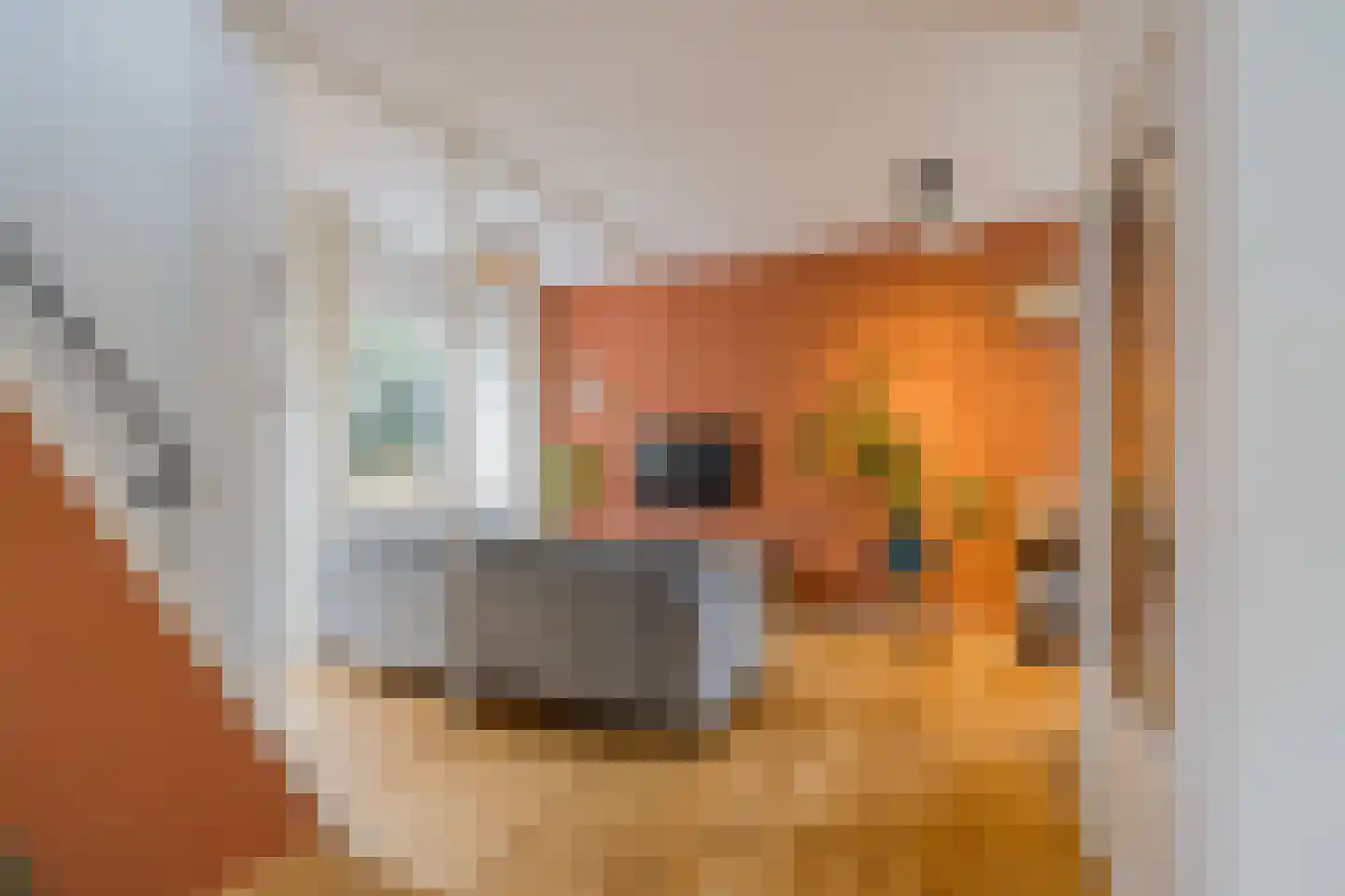 De Haasstraat 10 Haarlem thumbnail 7