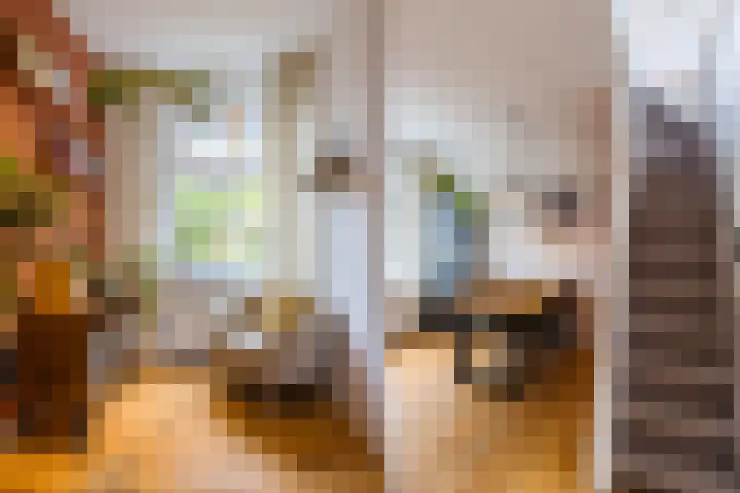 De Haasstraat 10 Haarlem thumbnail 9