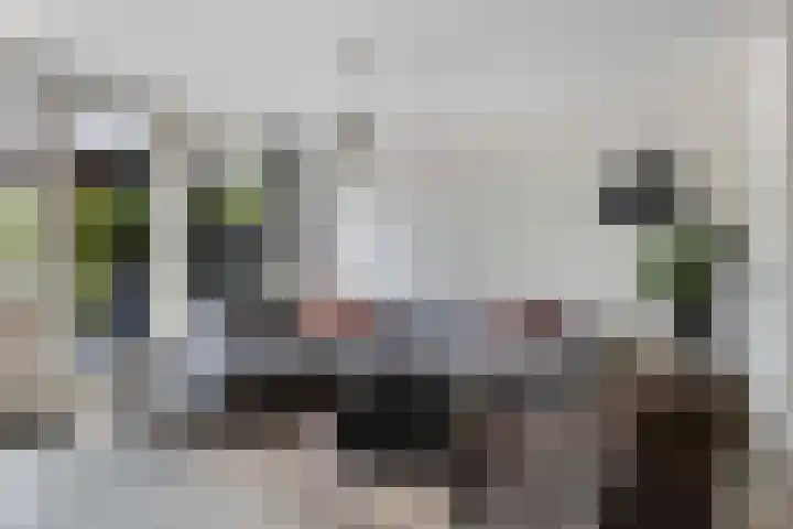De Haasstraat 18 Apeldoorn thumbnail 10