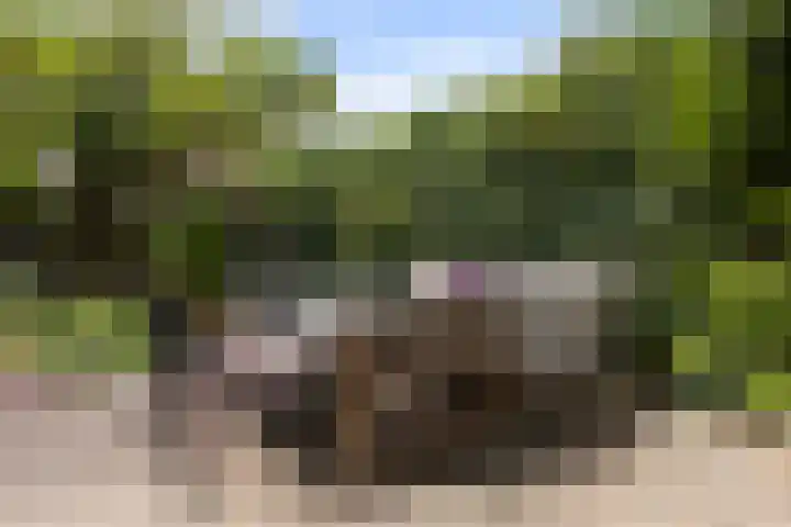 De Haasstraat 18 Apeldoorn thumbnail 25