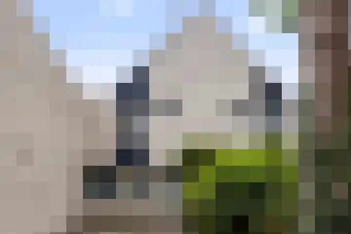 De Haasstraat 18 Apeldoorn thumbnail 30