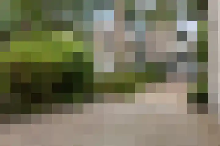 De Haasstraat 18 Apeldoorn thumbnail 31