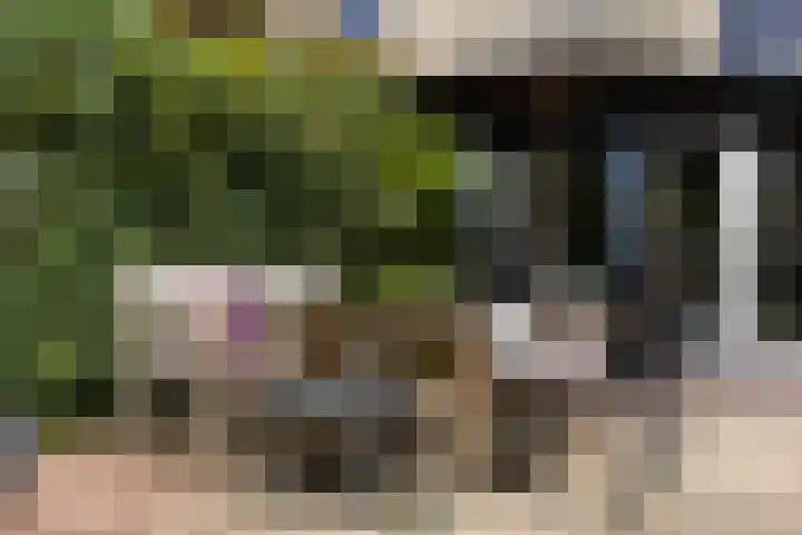 De Haasstraat 18 Apeldoorn thumbnail 32