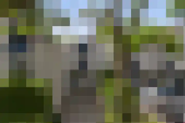 De Haasstraat 18 Apeldoorn thumbnail 36