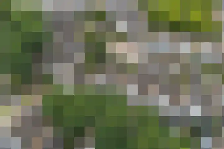 De Haasstraat 18 Apeldoorn thumbnail 39