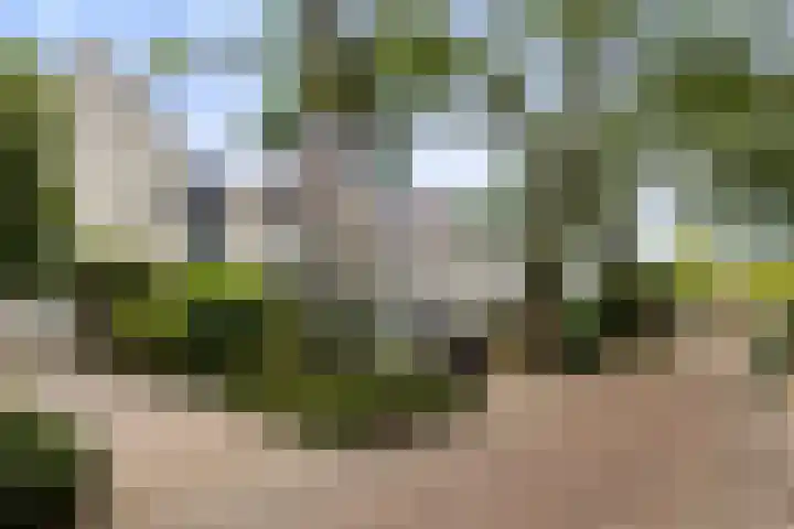 De Haasstraat 18 Apeldoorn thumbnail 5