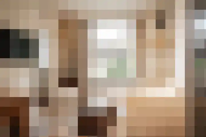 De Haasstraat 8 Haarlem thumbnail 18