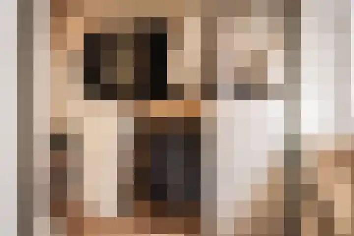 De Haasstraat 8 Haarlem thumbnail 22