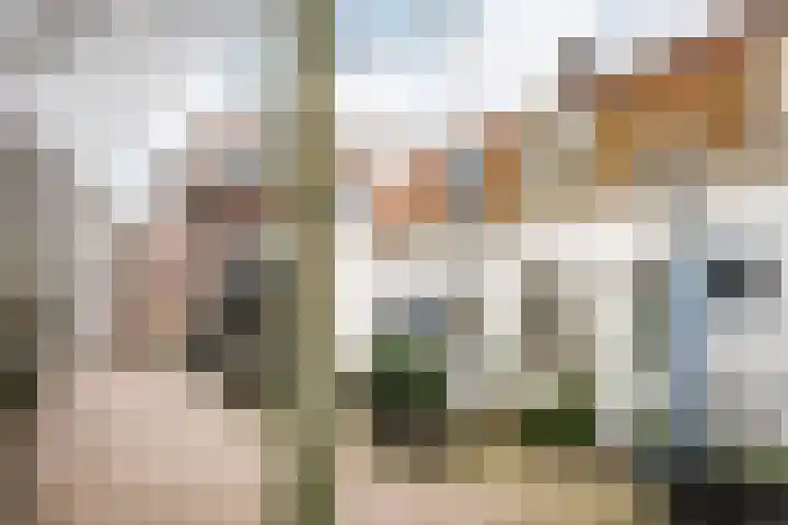 De Haasstraat 8 Haarlem thumbnail 26