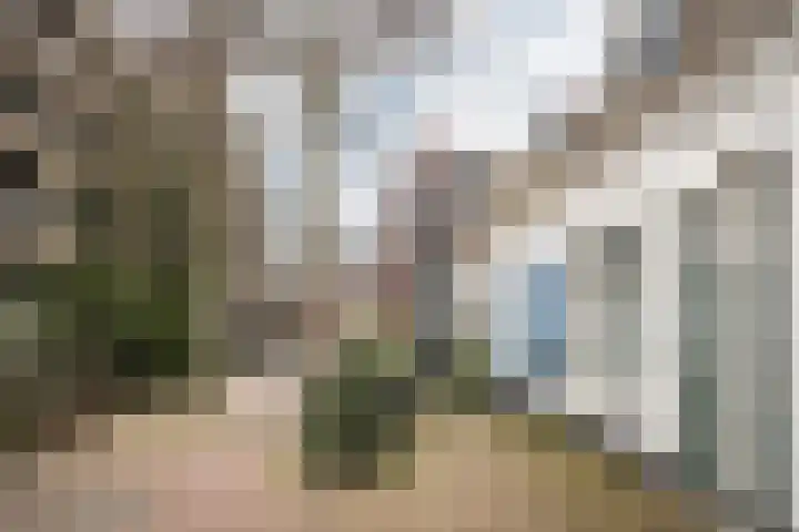 De Haasstraat 8 Haarlem thumbnail 27