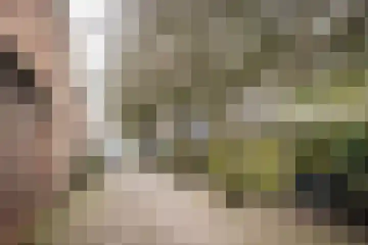 De Haasstraat 8 Haarlem thumbnail 29